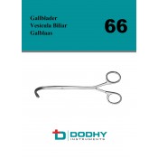 66 - Gallbladder